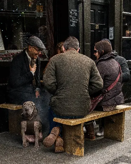 عکس سگ در میان دود با جلوه ای هنری و کیفیت بالا