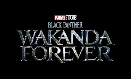 تصویر فیلم Black Panther Wakanda Forever با کیفیت 8K