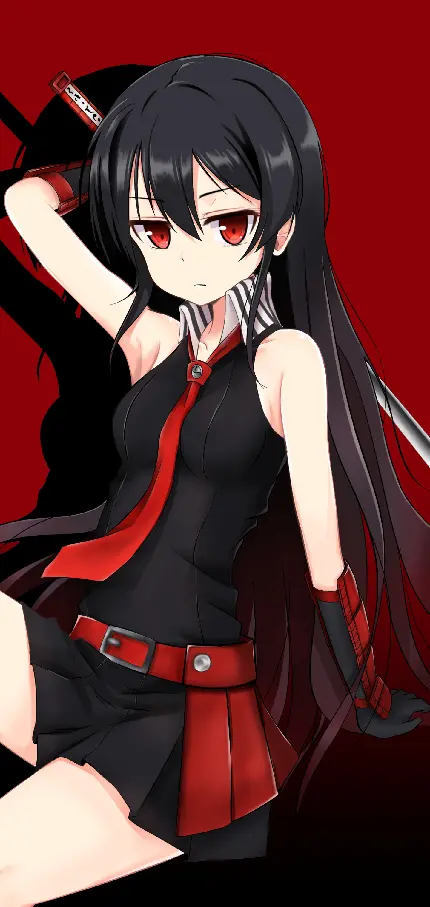 پوستر دیواری انیمه Akame ga Kill با کیفیت فول اچ دی