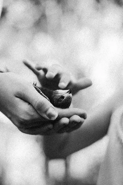 تصویر هنری مفهومی با کیفیت بالا برای دانلود رایگان