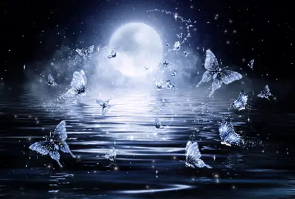 عکس پروانه و ماه با بک گراند شب و کیفیت بالا