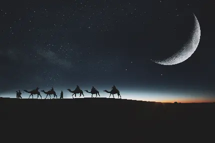 سیلوئت شترها در نور ماه با زمینه ستاره‌ای