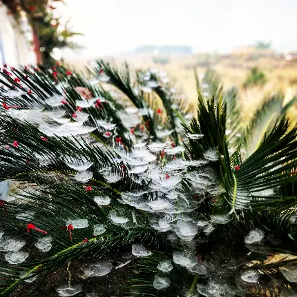 تصویر صبح زمستانی با کیفیت فول اچ دی برای دانلود رایگان