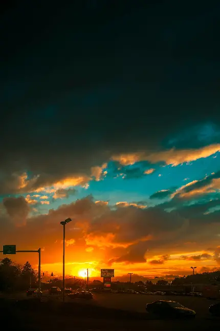تصویر زیبا از یک درخت تنومند در طبیعت با ابرهای سفید