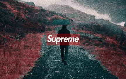 تصویر چتر برند Supreme با کیفیت بالا برای دانلود