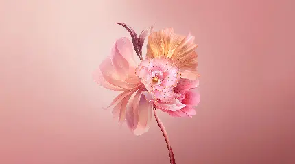 عکس گل انتزاعی با رنگ صورتی و کیفیت بالا برای دانلود رایگان