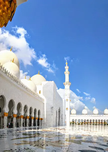 عکس مسجد بزرگ برای پروفایل مذهبی و فرهنگی