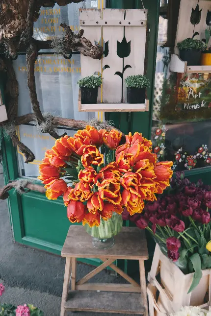 تصویر گل فروشی با گل های تازه با کیفیت بالا