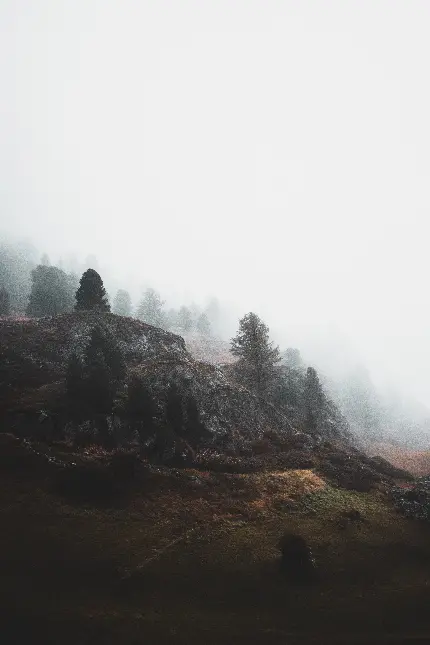 تصویر کوهستان و درختان با کیفیت بالا برای والپیپر