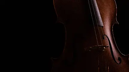 2472-cello-musical-instrument-dark-4k