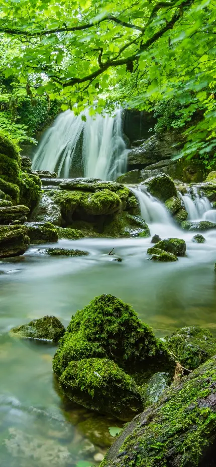 والپیپر طبیعت Waterfall برای گوشی های تی سی ال با کیفیت بالا