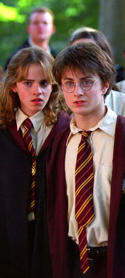 پوستر فیلم Harry Potter با کیفیت 4K برای چاپ