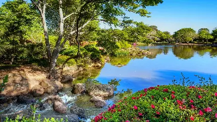 عکس دریاچه آرام بهاری با پل و گل‌های وحشی و کیفیت بالا