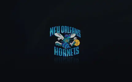 عکس تیم New Orleans Hornets با زمینه تاریک و کیفیت بالا