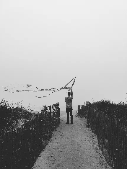 تصویر بادبادک در ساحل با کیفیت بالا