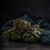 عکس کنگر فرنگی با ترکیب بندی هنری