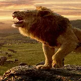 چاپ قاب موبایل و گوشی تصویر فیلم The Lion King 2019 مخصوص چاپ قاب آیفون با کیفیت HD
