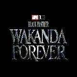 چاپ قاب موبایل و گوشی تصویر فیلم Black Panther Wakanda Forever با کیفیت 8K