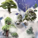 چاپ قاب موبایل و گوشی عکس ذهن آرام و بونسای با طراحی زیبا و رزولوشن فول اچ دی