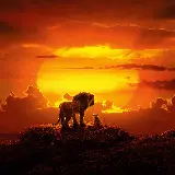 عکس انیمیشن The Lion King با کیفیت 6K برای چاپ تابلو