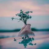 عکس گل‌ها در کف دست با کیفیت اچ دی و نورپردازی عالی