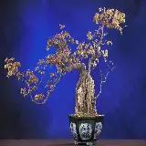چاپ قاب موبایل و گوشی عکس ذهن آرام و بونسای با رزولوشن فول اچ دی برای دانلود