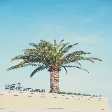 چاپ قاب موبایل و گوشی تصویر زیبا از نخلستان در برابر آسمان آبی در شهر