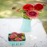 تصویر هنری با رنگ های آبی و قرمز تابستانی با کیفیت بالا