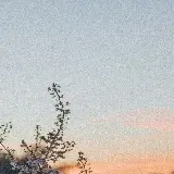 عکس گل و گیاه با شکوفه های زیبا