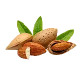 چاپ قاب موبایل و گوشی عکس نقاشی PNG بادام دوربری شده با کیفیت چشم نواز