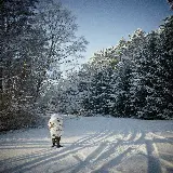 عکس سرباز با تفنگ در برف برای تابلوهای مفهومی