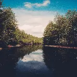 عکس منظره آرام جویبار در میان جنگل با کیفیت بالا