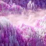 عکس زیبای صورتی برای والپیپر موبایل