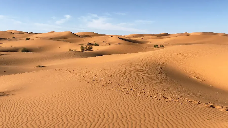 چاپ پوستر تابلو دکوراتیو صحرا با بهترین قیمت و چاپ با کیفیت