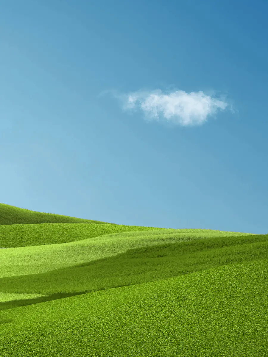 والپیپر سامسونگ چمن و آسمان با کیفیت اچ دی و دانلود رایگان