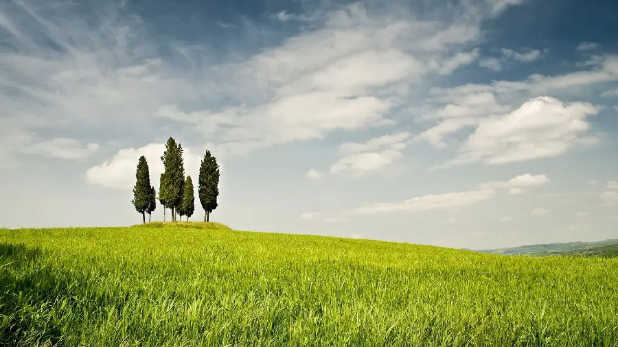 والپیپر دسکتاپ چمن و آسمان با کیفیت 1080p برای دانلود آسان