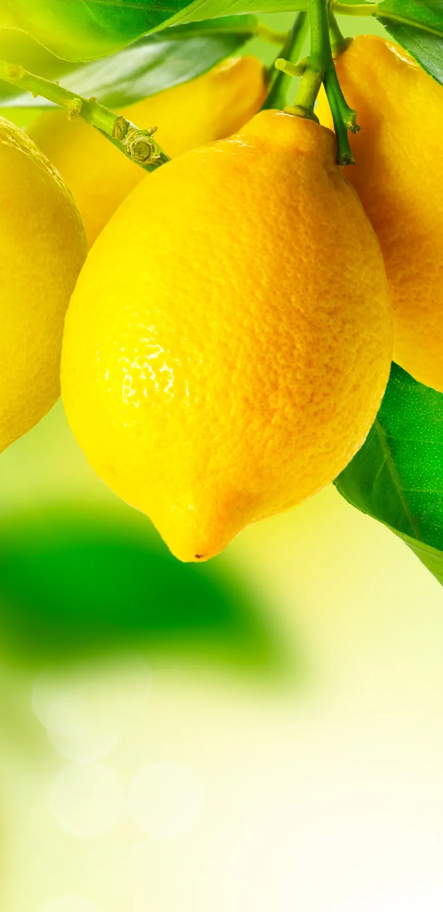 خرید تابلو شاسی لیمو با طراحی مدرن و قیمت مناسب