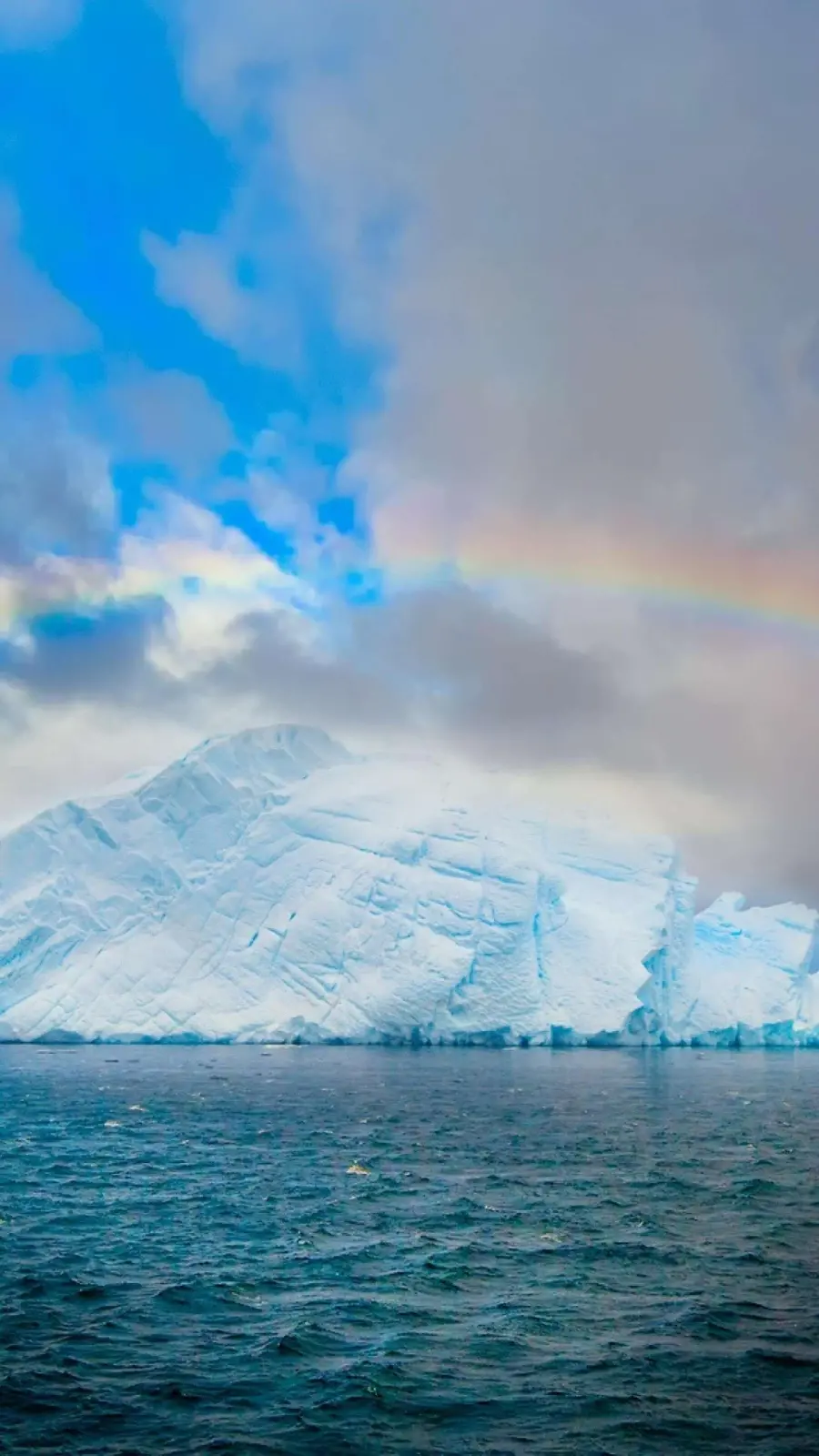 چاپ پوستر قاب موبایل یخچال طبیعی چاپ تابلو شاسی با کیفیت بالا برای اتاق