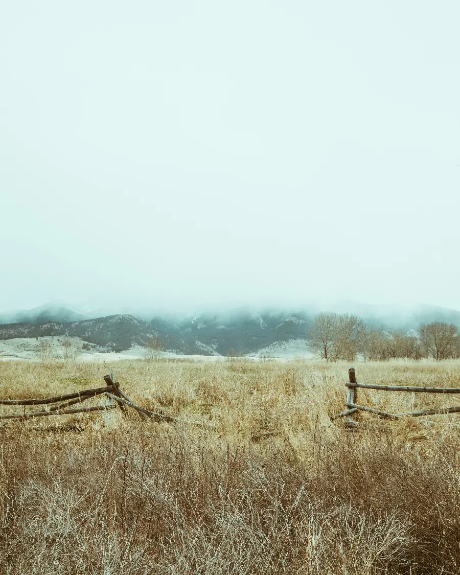 چاپ پوستر چاپ شاسی منظره طبیعت آن سوی حصار با کیفیت بالا