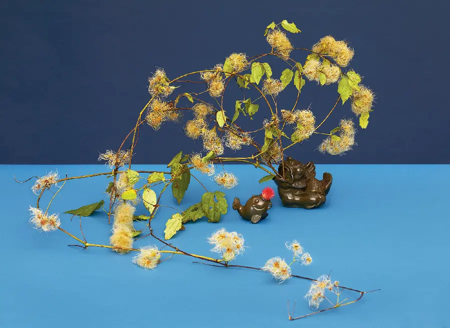 چاپ پوستر چاپ پوستر دیواری ایکه بانا با کیفیت بالا برای اتاق خواب