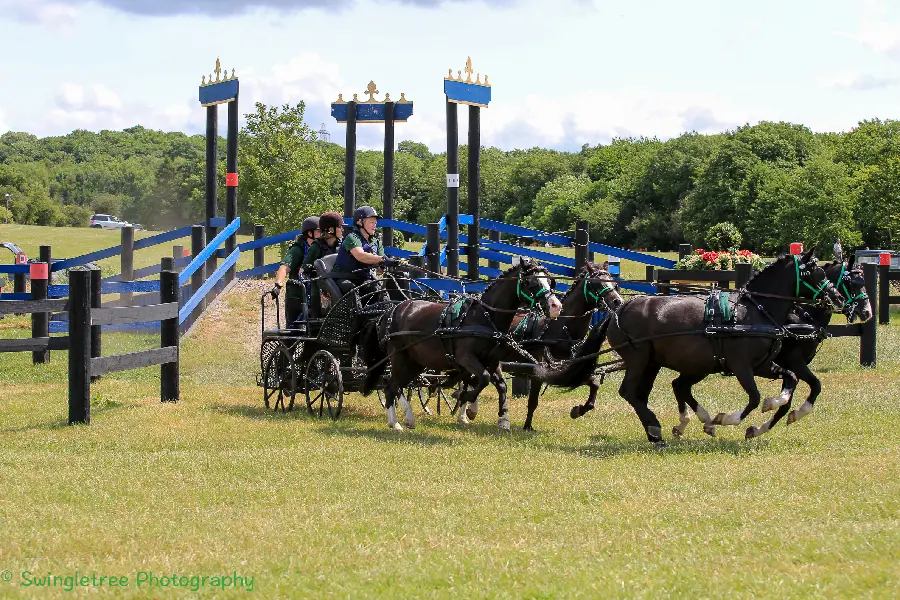 1610629-2121x1414-desktop-hd-carriage-driving-wallpaper