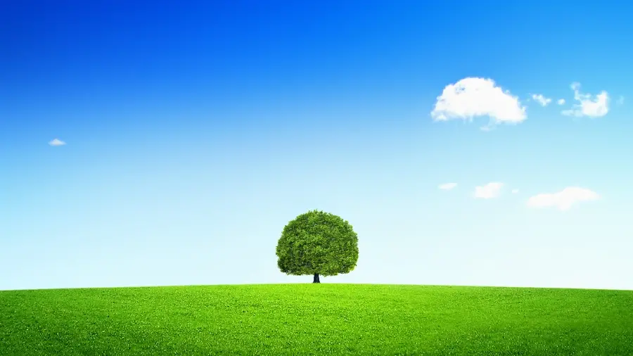 تصویر پس زمینه دسکتاپ چمن و آسمان با کیفیت فول اچ دی