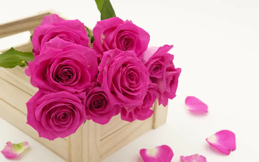 چاپ پوستر تابلو شاسی دسته گل با کیفیت بالا برای پذیرایی