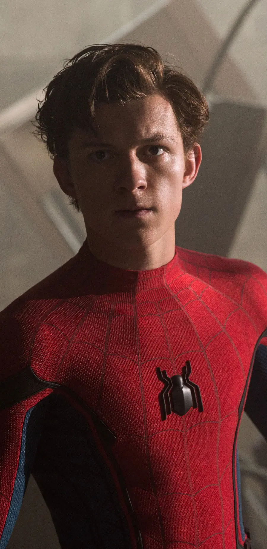 تابلو فیلم Spider-Man Homecoming برای دکوراسیون اتاق