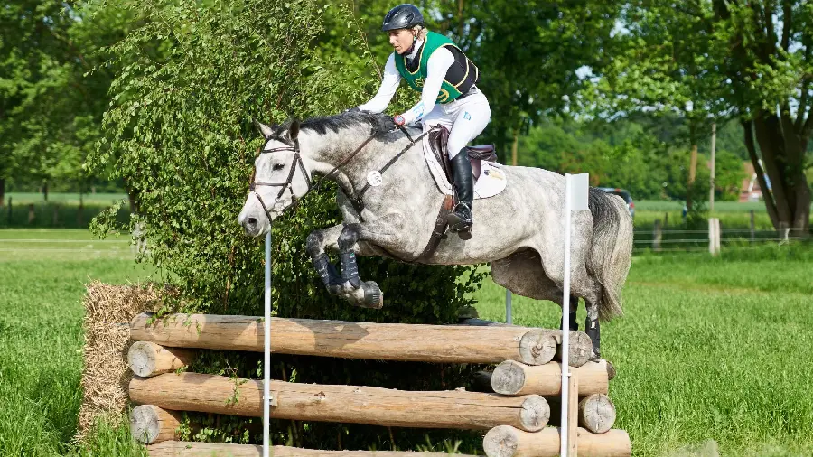 1123250-2560x1440-desktop-hd-eventing-background-image