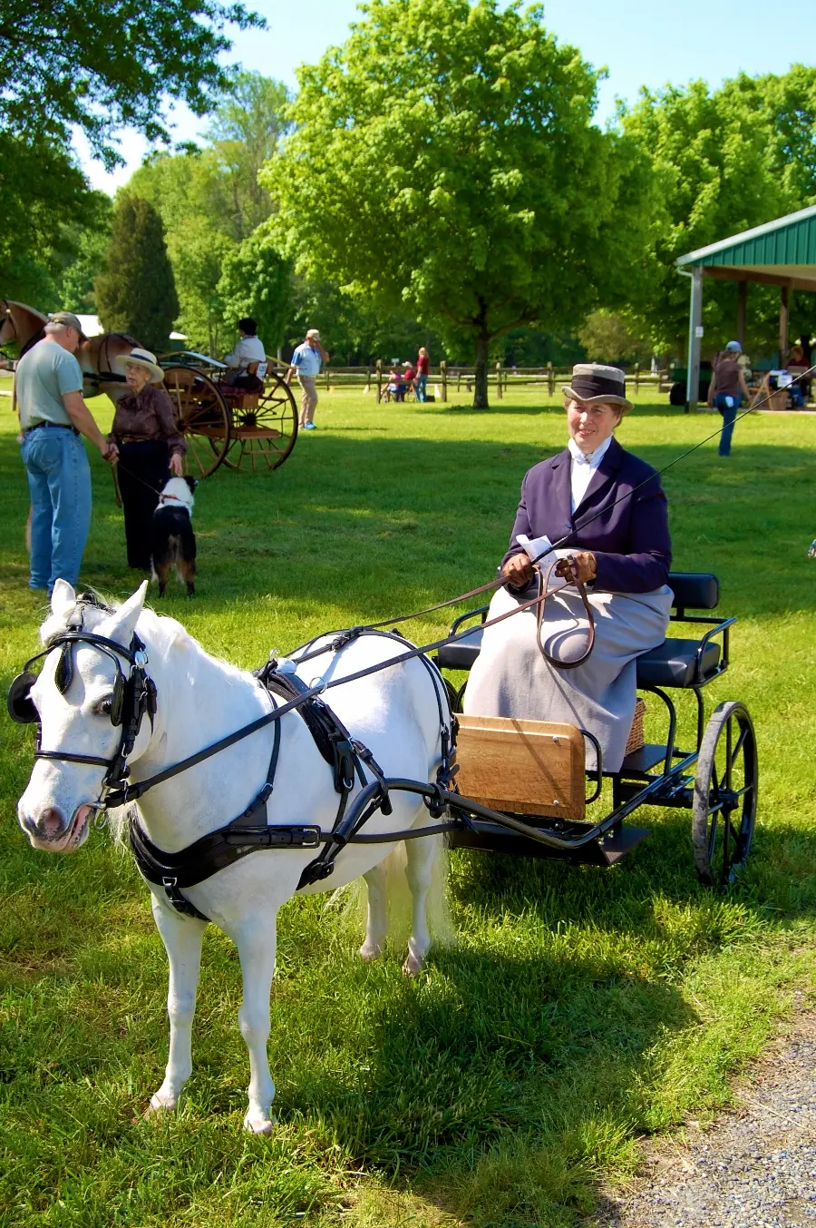 1610648-1800x2707-mobile-hd-carriage-driving-wallpaper-photo