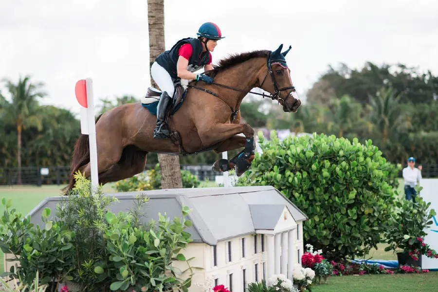 1123185-2048x1367-desktop-hd-eventing-background