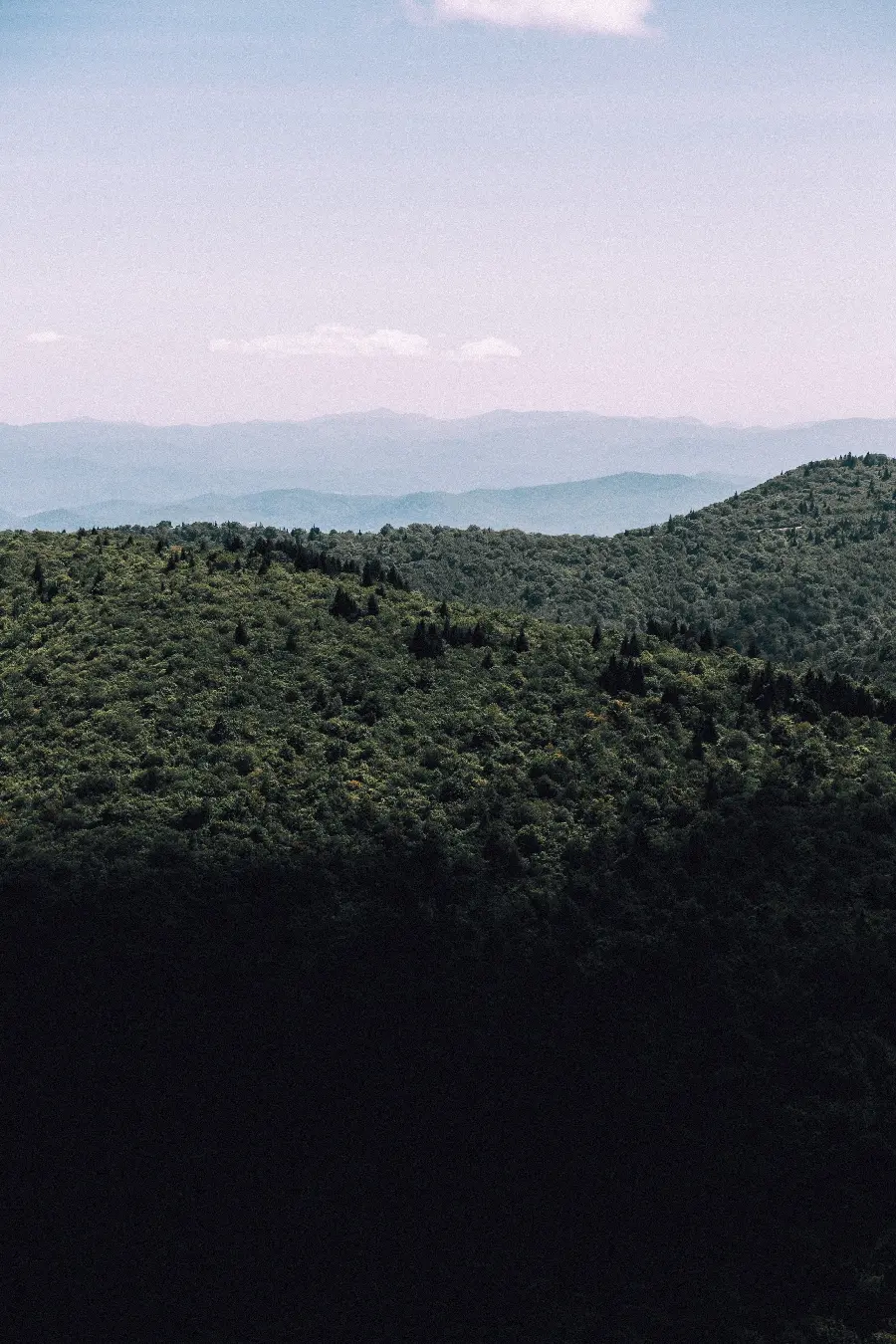 تصویر منظره کوهستانی با آسمان آبی و جنگل با کیفیت 4K