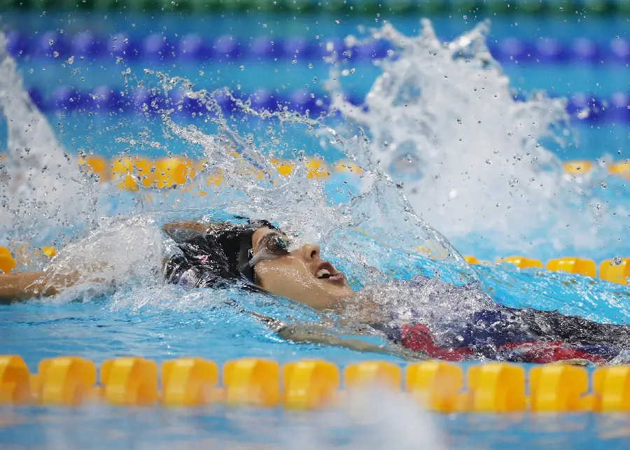 تصویر زمینه کرال پشت با کیفیت بالا