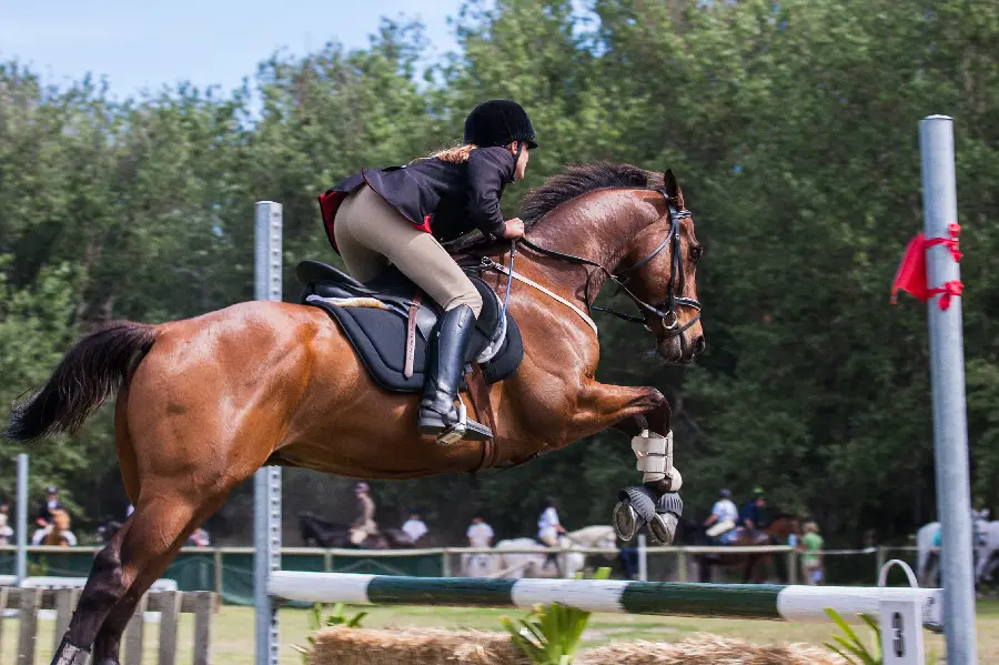 1123369-3134x2089-desktop-hd-eventing-wallpaper